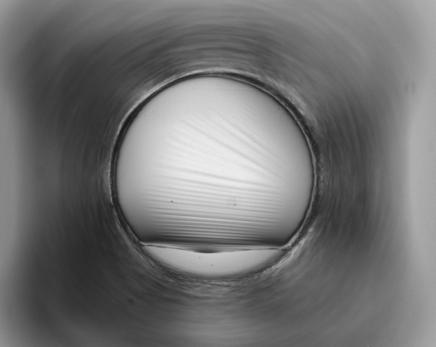 X0000095961513200802011111