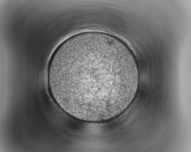 X0000095961514200802011111