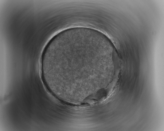 X0000095961515200802011111