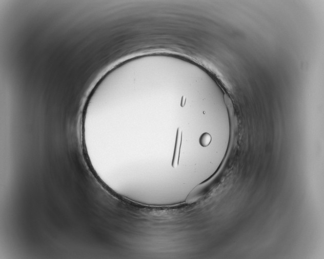 X0000095961516200802011111