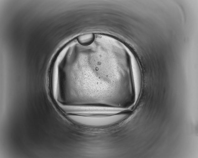 X0000095961517200802011111