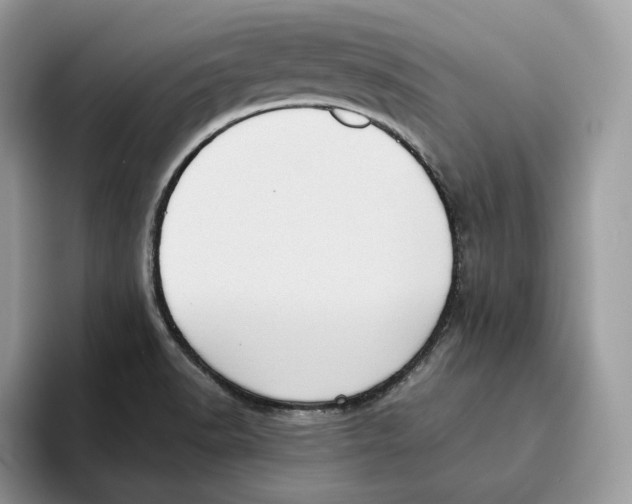 X0000095961518200802011111