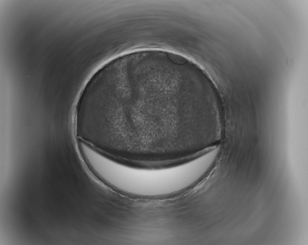 X0000095961519200802011111