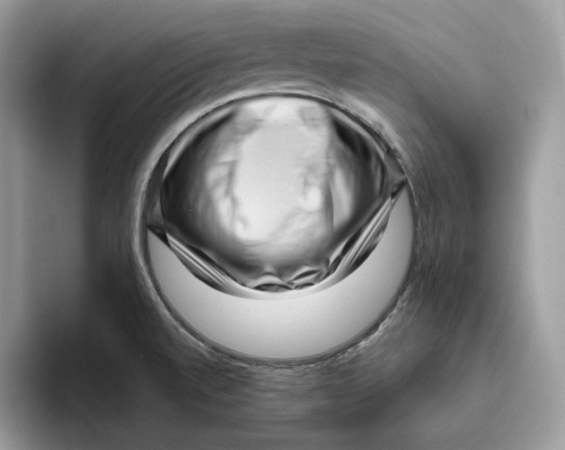 X0000095961520200802011111