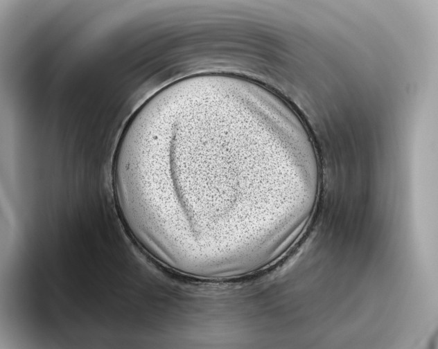 X0000095961521200802011111