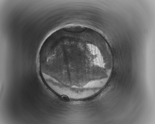 X0000095961522200802011111