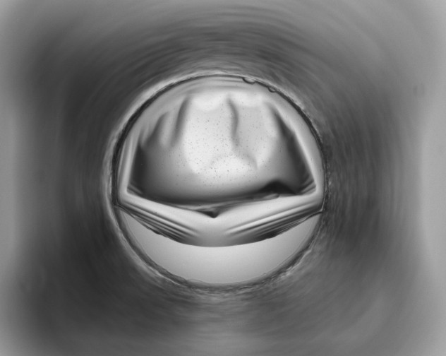 X0000095961523200802011111