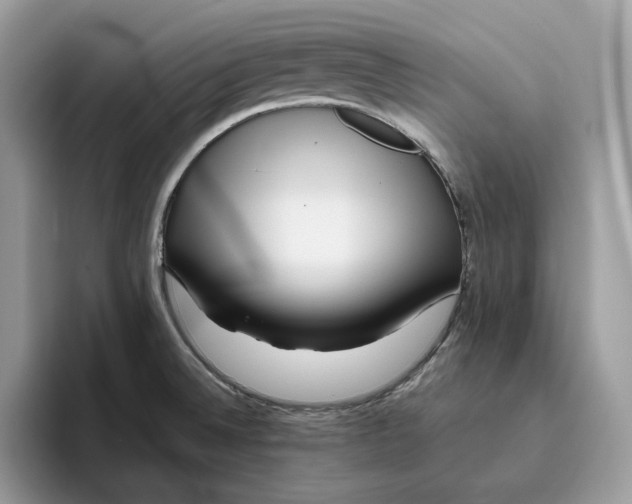 X0000095961524200802011111