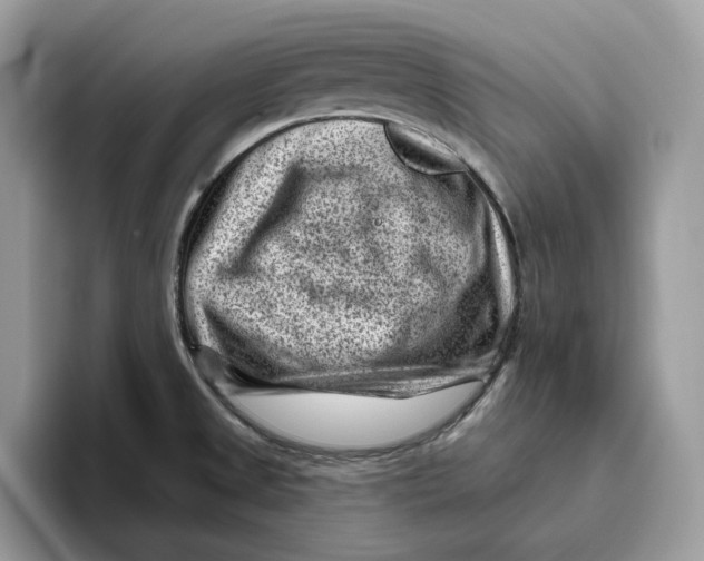 X0000095961525200802011112