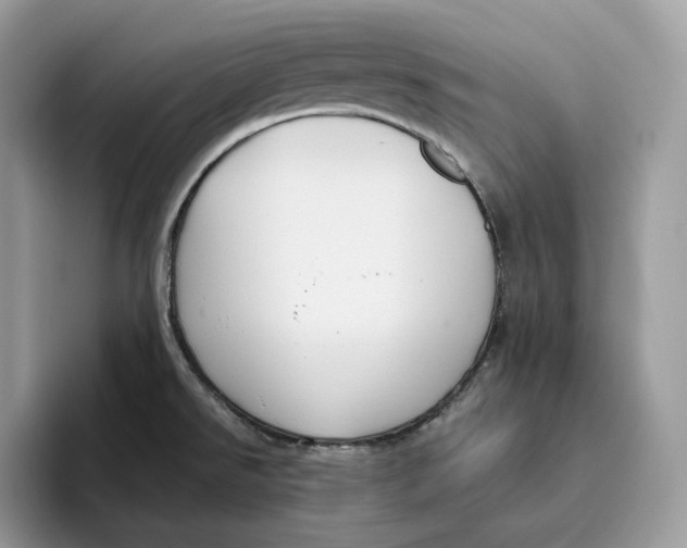 X0000095961526200802011112