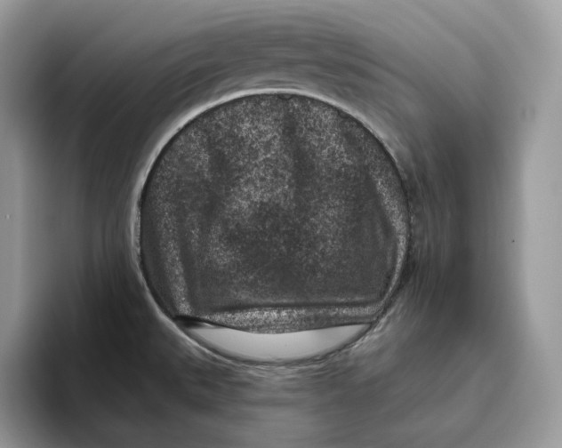 X0000095961527200802011112