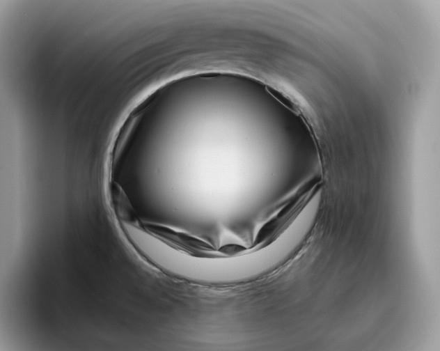 X0000095961528200802011112