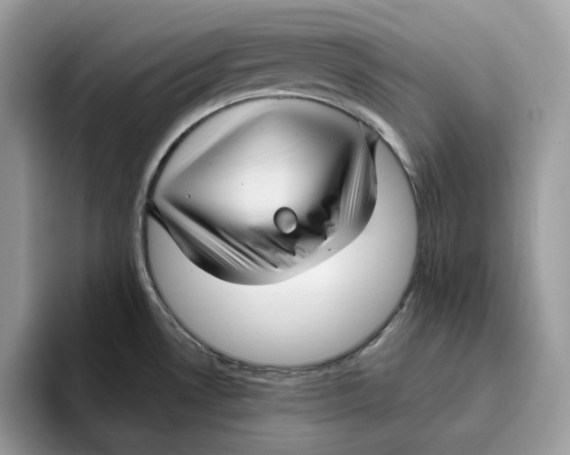 X0000095961530200802011112