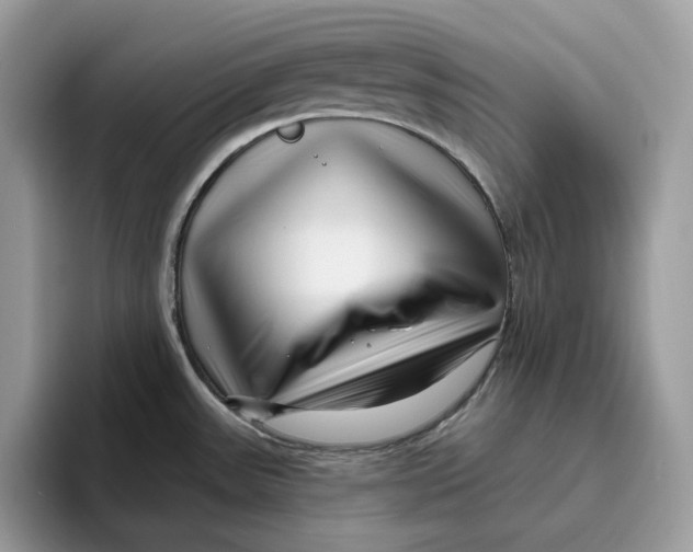 X0000095961531200802011112