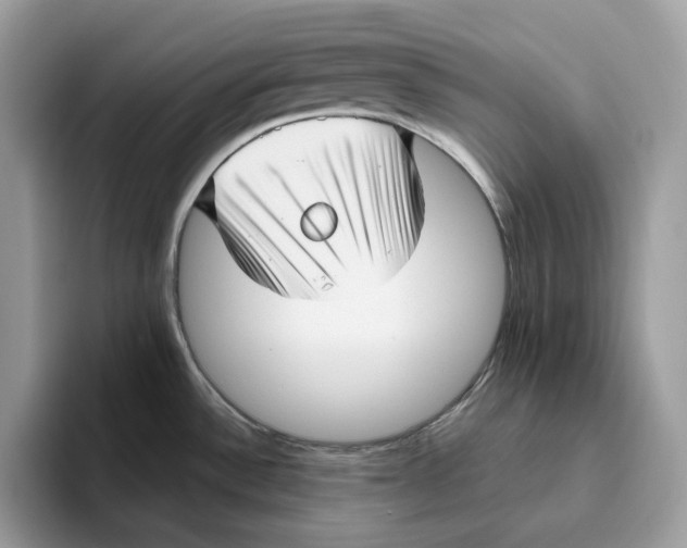 X0000095961532200802011112