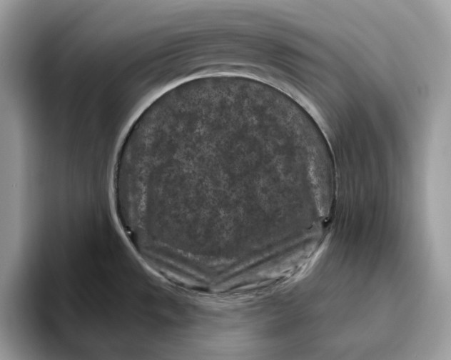 X0000095961533200802011112