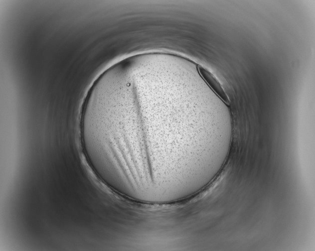 X0000095961534200802011112