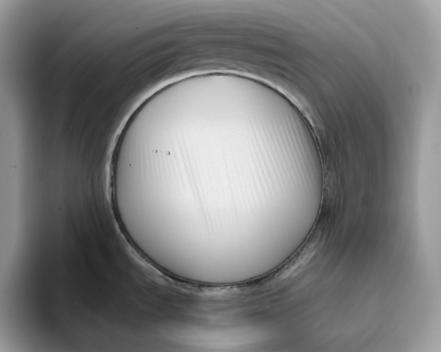 X0000095961535200802011112