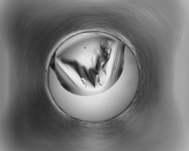 X0000095961536200802011112