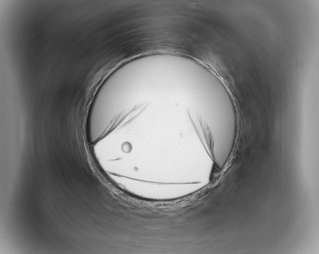 X0000095960001200802081327