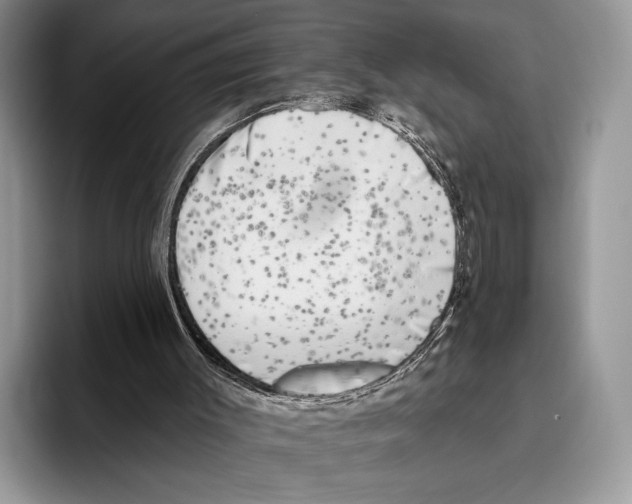 X0000095960003200802081327