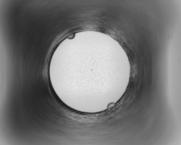 X0000095960004200802081327