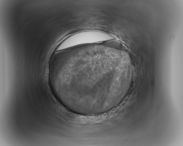 X0000095960005200802081327