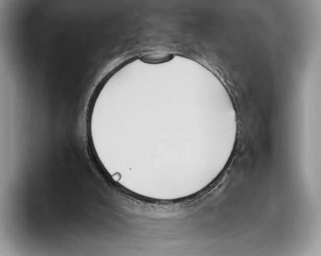 X0000095960008200802081327