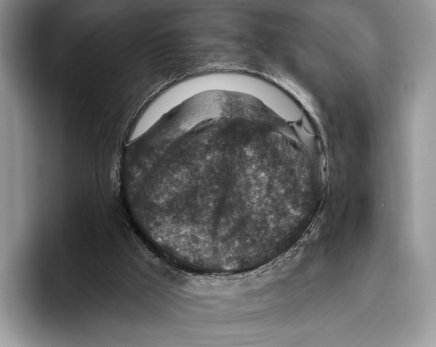 X0000095960009200802081327