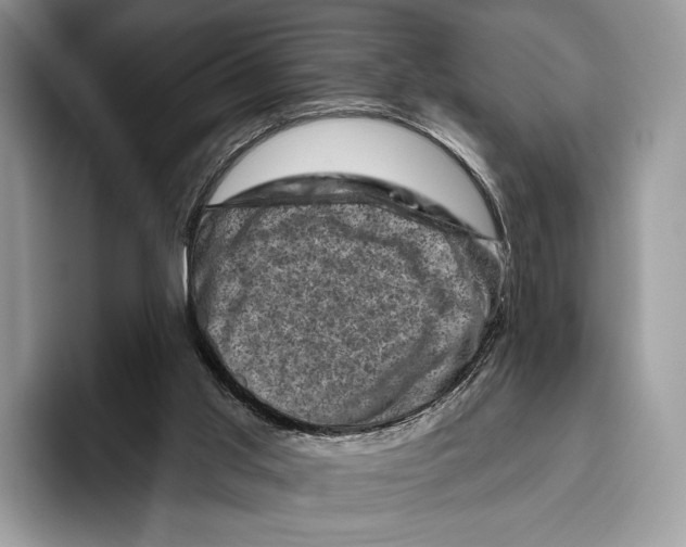 X0000095960013200802081327