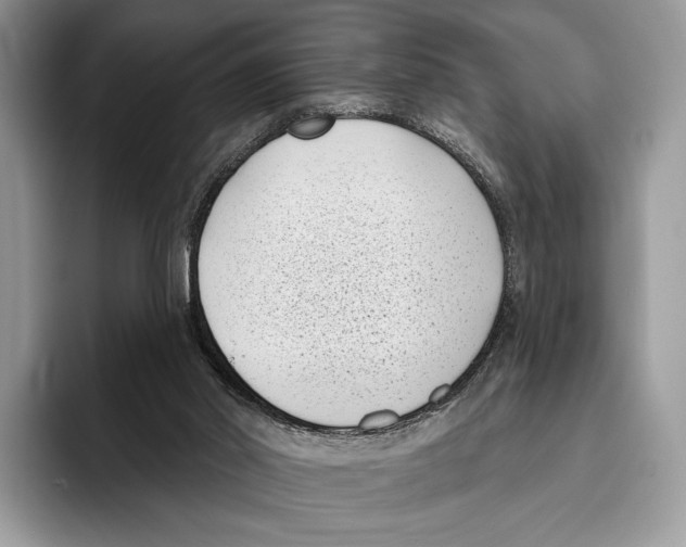 X0000095960014200802081326