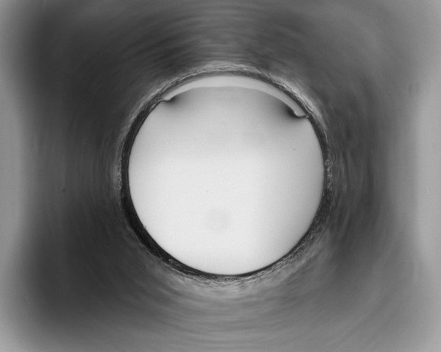 X0000095960015200802081326