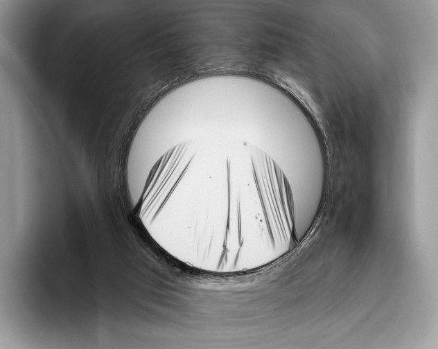X0000095960017200802081326