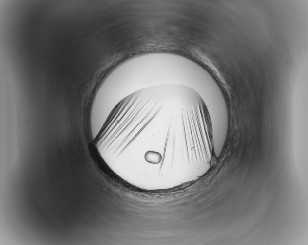 X0000095960019200802081326
