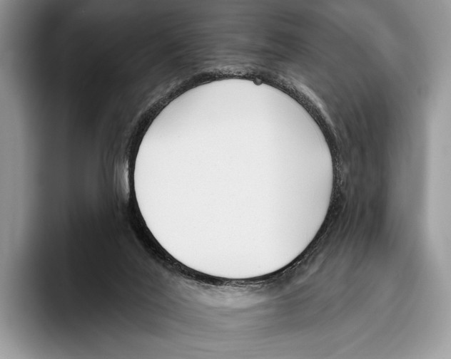 X0000095960020200802081326