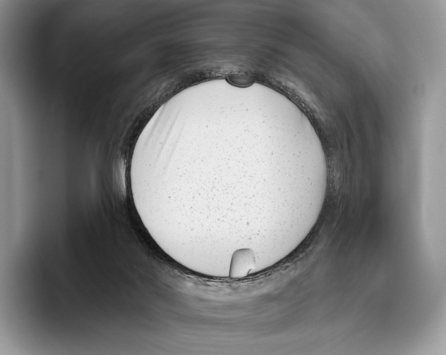 X0000095960022200802081326