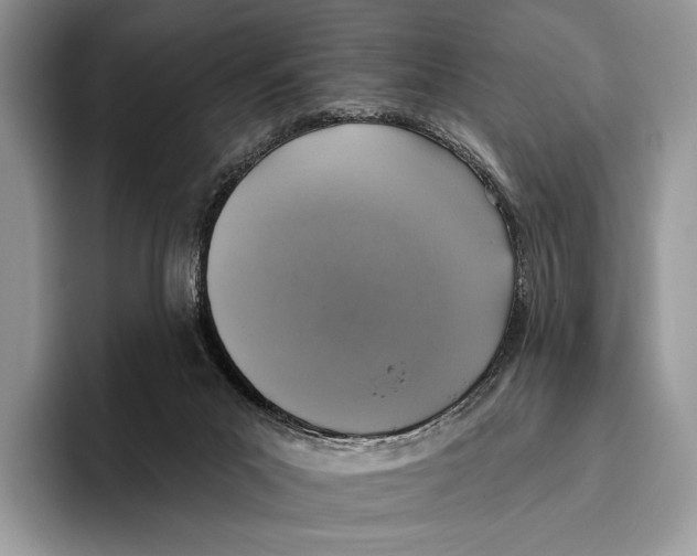 X0000095960023200802081326