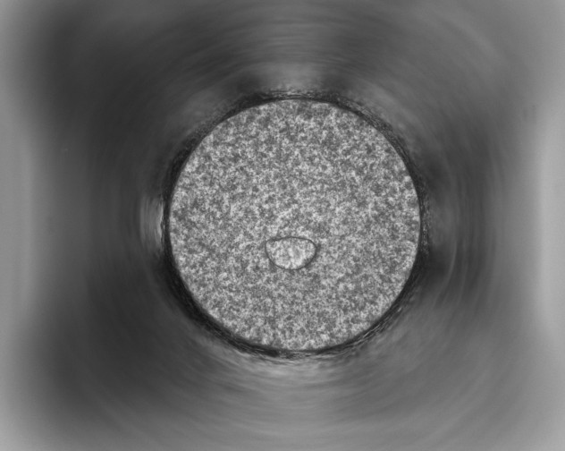 X0000095960024200802081326