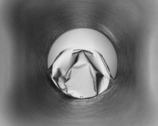 X0000095960025200802081326