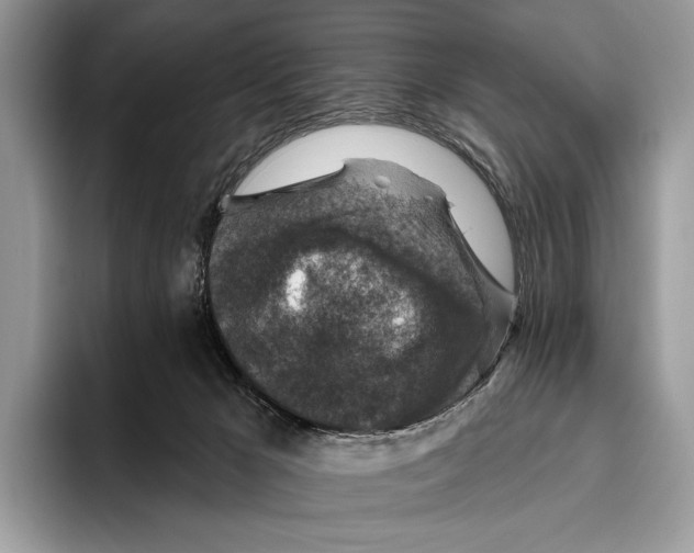 X0000095960029200802081326