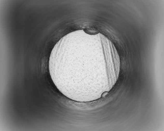 X0000095960030200802081326