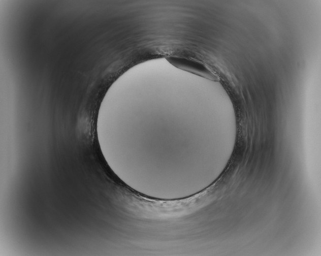X0000095960031200802081326