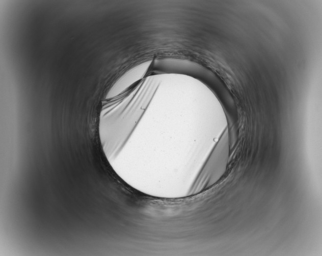 X0000095960033200802081326