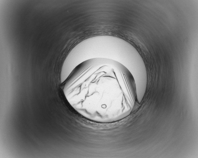 X0000095960035200802081326