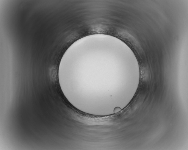 X0000095960036200802081326