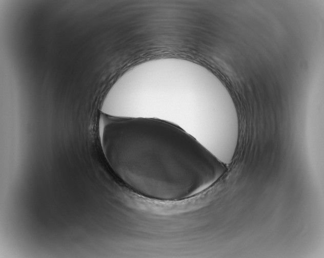 X0000095960039200802081326