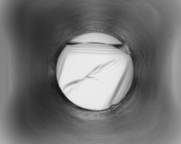 X0000095960040200802081326