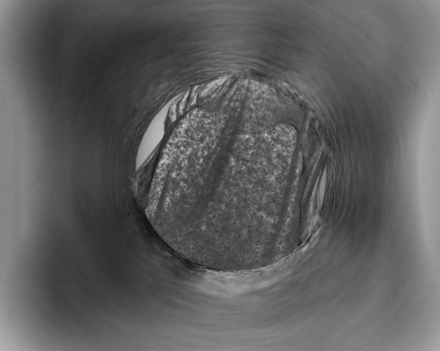 X0000095960041200802081326