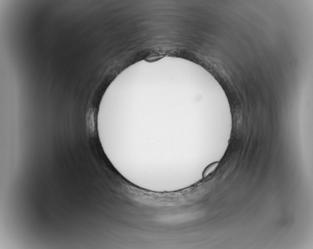 X0000095960042200802081326