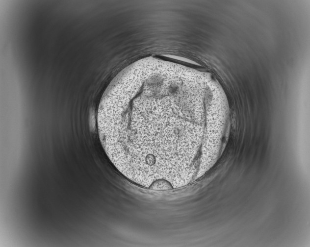 X0000095960046200802081326